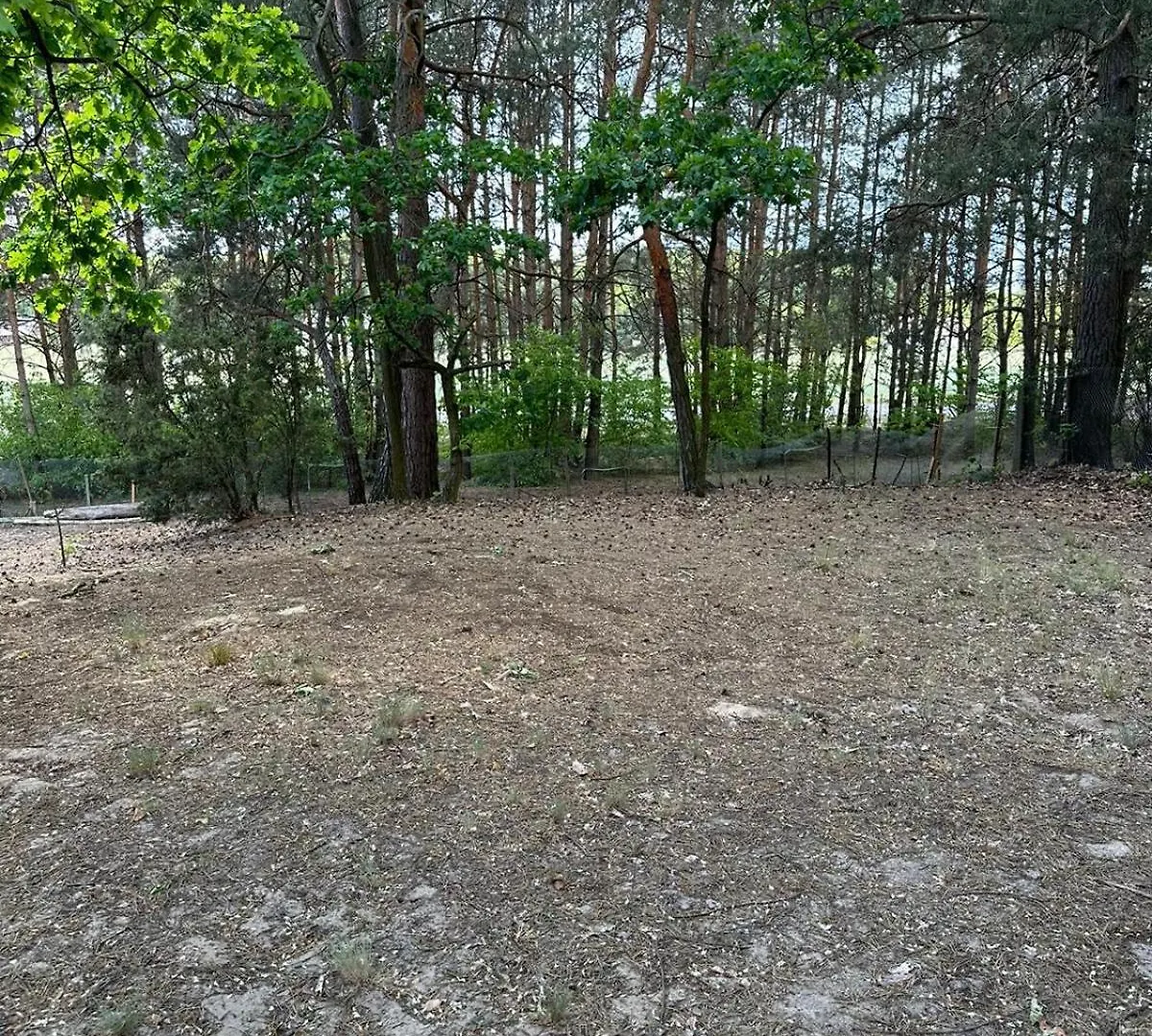 Dream Forest Cabin - Wiejska Chata W Lesie Warsaw 0*,  Poland