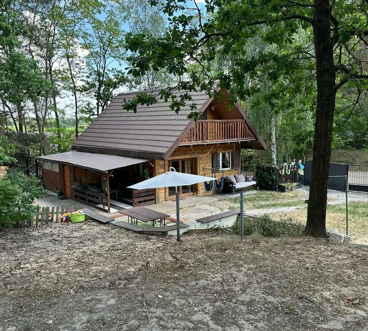Dream Forest Cabin - Wiejska Chata W Lesie Warsaw Holiday home